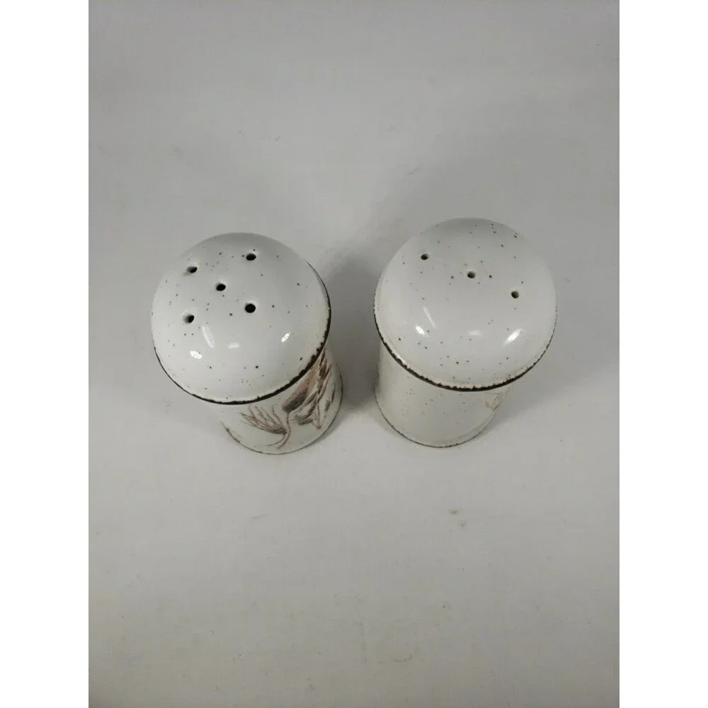 Vtg Midwinter Stonehenge WILD OATS salt & Pepper Shakers Eve Midwinter England